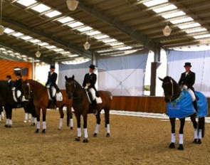 Chantal Wigan wins the big tour championship at the 2011 CDI Boneo