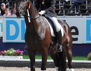 Tessa Frank and Simply Nymphenburg win bronze at the 2011 Bundeschampionate :: Photo © Maria Burczyk