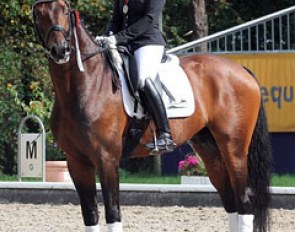 Jennifer Hoffmann and Florentinus V win silver at the 2011 Bundeschampionate