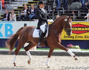 Johannes Westendarp on Bailador de Amor. Yes there were a few blurps in the transitions, but this horse was totally underscored. This chestnut Breitling offspring has Grand Prix written all over his body