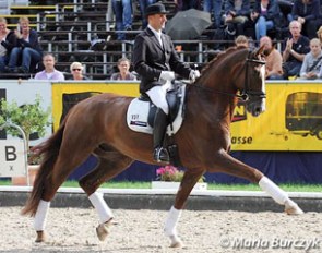 Rudolf Widmann and Sans Souci finished fifth. Beautifully presented horse with a powerful trot and canter but the clarity of rhythm got compromised in both the extended and collected walk