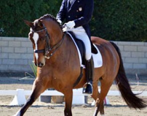Jan Ebeling and Rafalca at the 2011 CDI-W Festival of the Horse