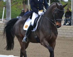 Steffen Peters and Weltino's Magic at the 2011 CDI Burbank :: Photo © Jennifer Keeler