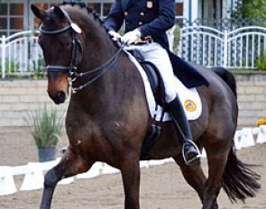 Steffen Peters and Weltino's Magic at the 2011 CDI Burbank :: Photo © Jennifer Keeler