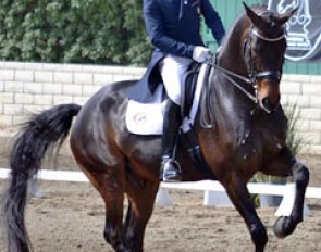 Steffen Peters and Weltino's Magic at the 2011 CDI-W Festival of the Horse