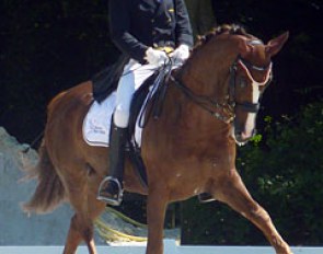 Marc Brulé and the Westfalian gelding Archimedes at their first CDI at the 2011 CDI Compiègne