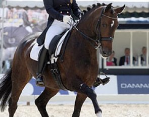 Cathrine Rasmussen on Shania at the 2011 CDI Copenhagen :: Photo © Ridehesten.com