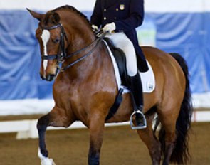 Jan Ebeling on Rafalca
