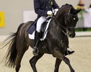 Jeroen Devroe and Apollo van het Vijverhof at the 2011 CDI-W 's Hertogenbosch :: Photo © Astrid Appels