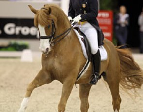 Catherine Haddad on Winyamaro at the 2011 CDI-W 's Hertogenbosch :: Photo © Astrid Appels