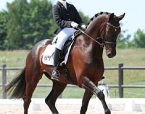 Nynne Ebbenaes and Gorklintgaards San Tiago in 2011 :: Photo © Ridehesten
