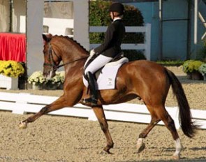 Silva Martin on Aesthete at the 2011 Dressage at Devon :: Photo © Stacy Lynne