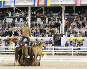 Guy McLean at the 2011 Dressage at Devon CDI :: Photo © Stacy Lynne