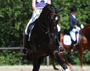 Sanneke Rothenberger schooling Deveraux OLD