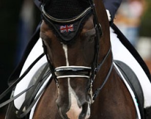 Valegro :: Photo © Astrid Appels