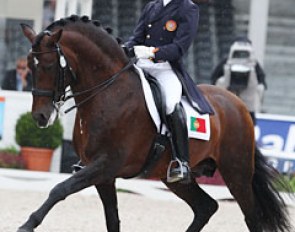 Portuguese duo Gonçalo Carvalho and Christine Jacoberger's Lusitano stallion Rubi