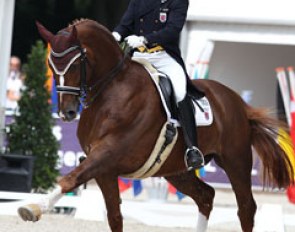 Gaston Chelius and Flamenco R at the 2011 European Dressage Championships :: Photo © Astrid Appels