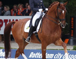 Adelinde Cornelissen on Parzival