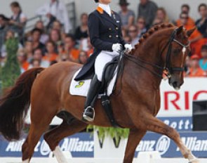 Adelinde Cornelissen on Parzival