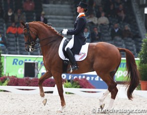 Adelinde Cornelissen on Parzival