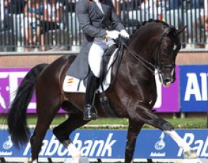 Jordi Domingo on Prestige at the 2011 European Championships :: Photo © Astrid Appels