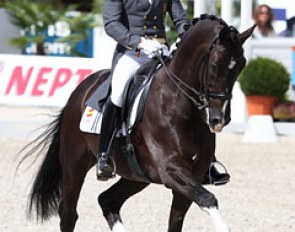 Jordi Domingo and Prestige in Rotterdam