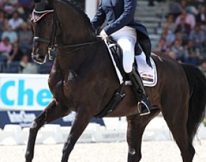 Claudia Fassaert on a hypersensitive and super sharp Donnerfee. The mare was just a bit too eager to work and became uneven in the rhythm out of over excitement