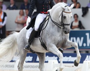 Spanish Juan Manuel Munoz Diaz on the PRE stallion Fuego at the 2011 European Dressage Championships :: Photo © Astrid Appels