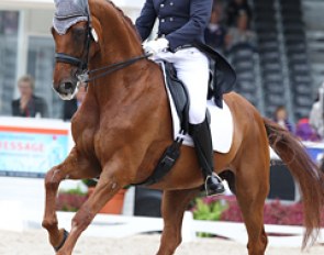Luis Principe on Washington at the 2011 European Dressage Championships :: Photo © Astrid Appels