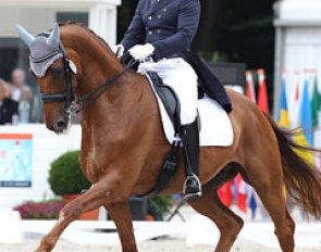 Luis Principe on the Hanoverian Washington (by Wolkenstein II x Windhuk)