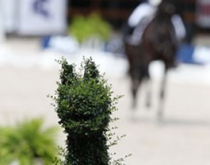 A plant sculpture in the shape of a horse decorated the show arena at the 2011 European Dressage Championships :: Photo © Astrid Appels