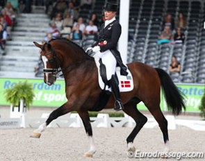 Anne van Olst on the beautiful Danish gelding Clearwater (by Carpaccio x Limebrand)