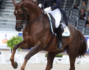 Swedish Tinne Vilhelmson on Favourit. Gorgeous pair but the Rhinelander gelding still gets stressed in the piaffe. Vilhelmson is such an amazing, graceful and elegant rider