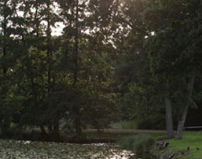 The mote at Broholm castle