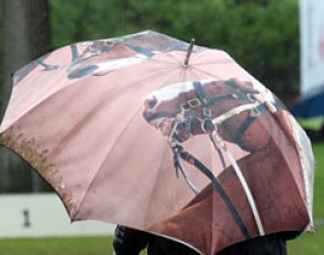 An umbrella from the Cadre Noir in Saumur