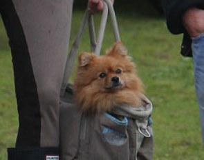 Fluffy carry-on