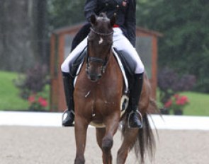 Philippa Hutton rode flying changes on Duela (by Dimaggio) with one hand