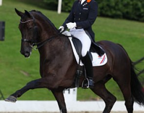 Stephanie Kooijman on Winston