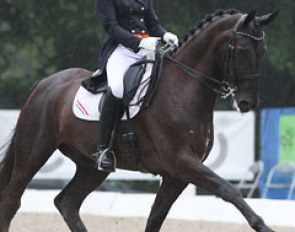 Stephanie Kooijman and Winston rode a very powerful, expressive test. Her trance based music did not really mark the different movements and could have been more in tune with her horse