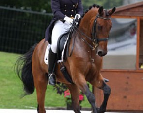 A very solid, confident ride from Tahnee Waelkens and Sandiegobese earned them 68.684% (11th). Highest placed Belgian young rider