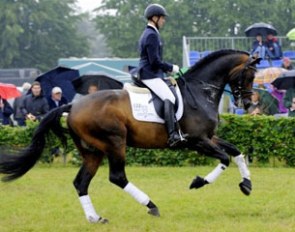 Markus Suchalla on Catoo :: Photo courtesy Holsteiner Verband