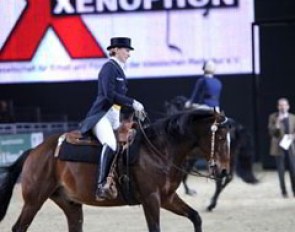 ... and Anabel did flying changes on Remmidemmi, while Diana Royer even took a fence on Dior (and Eva couldn't stop grinning doing the passage on the Spanish stallion)