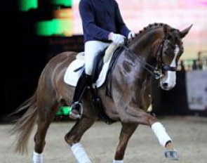 Isabell coached her head rider Matthias Bouten on Werth's rising star Bella Rose
