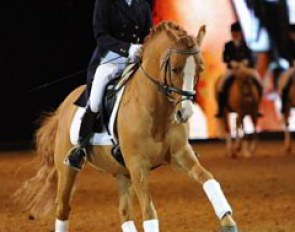 Trainer Stefanie Meyer-Biss rode legendary pony breeding stallion Dornik B one last time at the Equitana stallion show