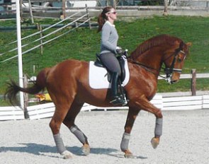 Emma Hindle and Brisbane schooling at home in Erbach, Germany