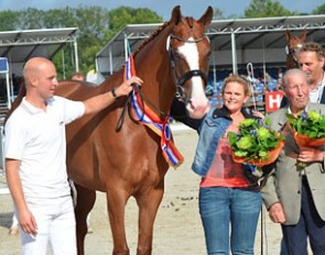 D'Obertje, 2011 KWPN Mare Champion :: Photo courtesy kwpn.nl