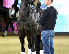 Rohdiamant at 2011 Equitana :: Photo © Tanja Becker