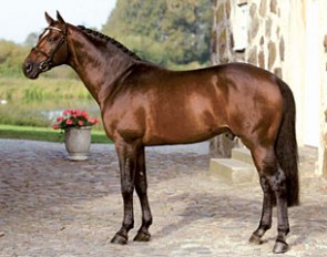 Quite Easy (by Quidam de Revel x Landgraf I x Capitano) :: Photo © Flyinge.se