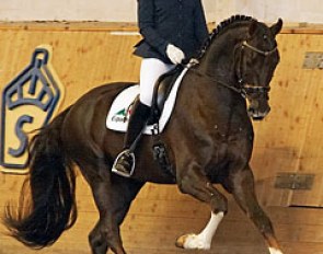 Jessica Andersson and Sohn der Sonne at the 2011 Swedish Warmblood Performance Testing in Flyinge :: Photo © David Svensson