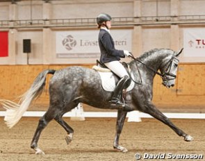 Malin Ljungcrantz and Ramstein at the 2011 Swedish Young Horse Championships :: Photo © David Svensson